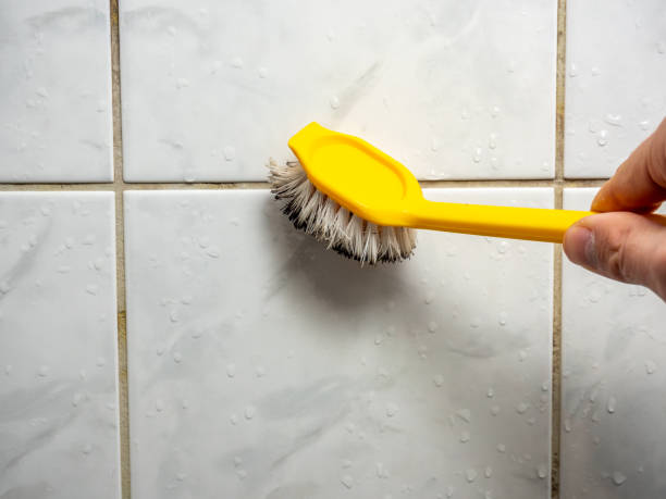 Best Bathroom Mold Remediation in Embreeville, TN