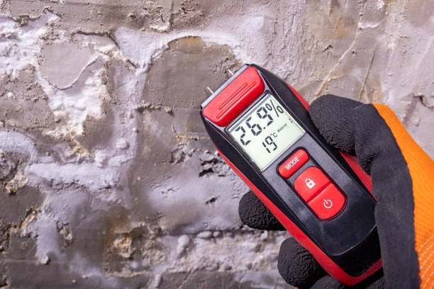 Best Post-Remediation Services in Embreeville, TN